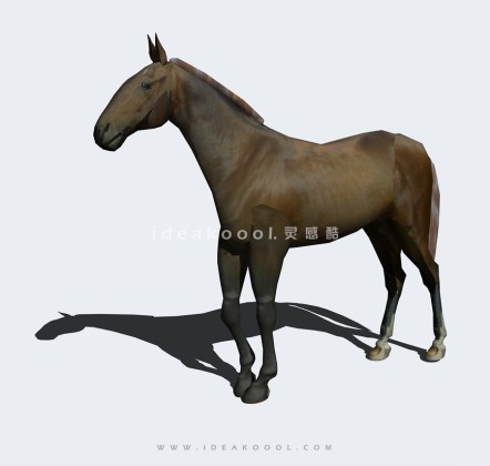 骏马丨