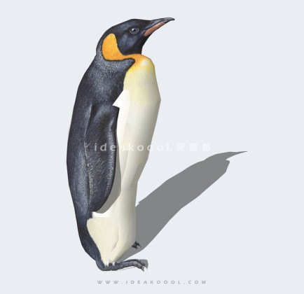 企鹅模型丨