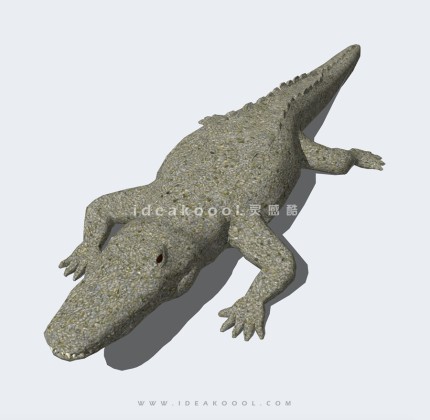 鳄鱼模型丨