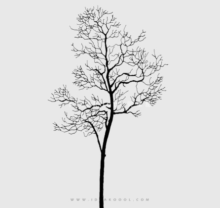 冬季枯枝落叶植物丨