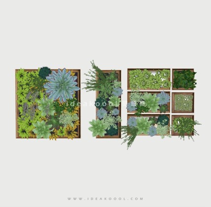垂直绿化墙 多肉植物丨