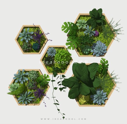 垂直绿化植物景墙丨