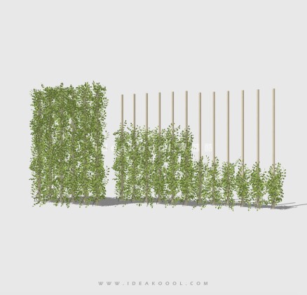 垂直绿化攀爬藤蔓植物景墙丨