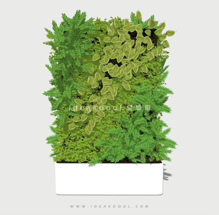 垂直绿化植物墙丨