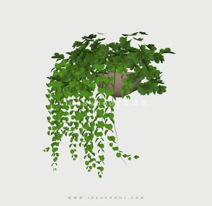 吊兰垂挂植物模型丨