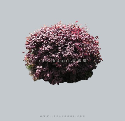 灌木球模型丨