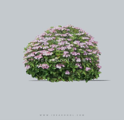 开花灌木球模型丨