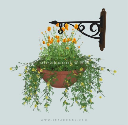 垂挂植物盆栽吊兰丨