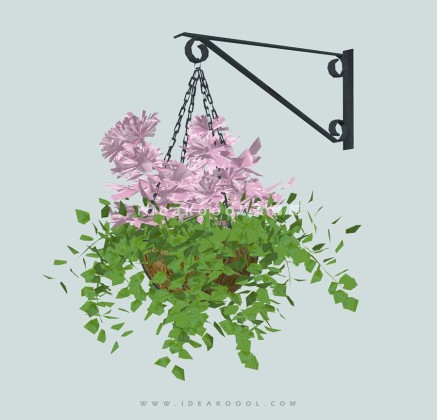 垂挂植物吊兰盆栽丨