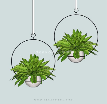 创意植物盆栽丨