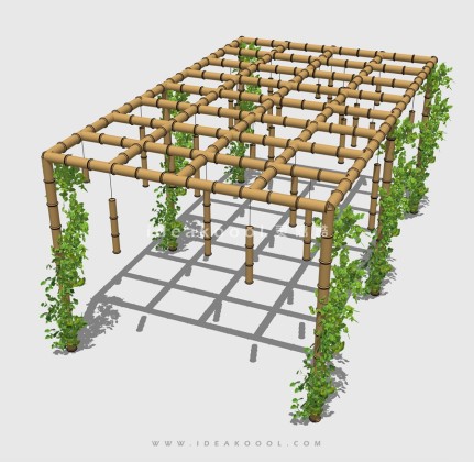 藤蔓攀爬植物 花架丨