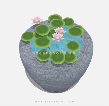 莲花睡莲水钵丨