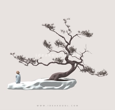 罗汉松造型松盆栽植物丨