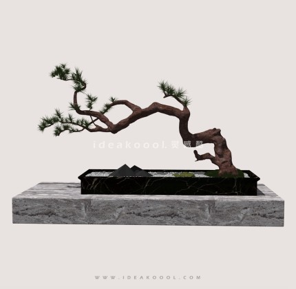 罗汉松造型松盆栽植物丨