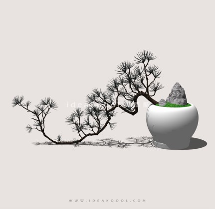 禅意观赏树 罗汉松造型松盆栽植物丨