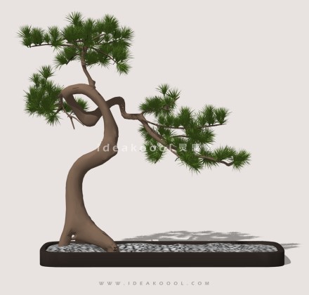 禅意观赏树 罗汉松造型松盆栽植物丨