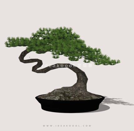 禅意观赏树 罗汉松造型松盆栽植物丨