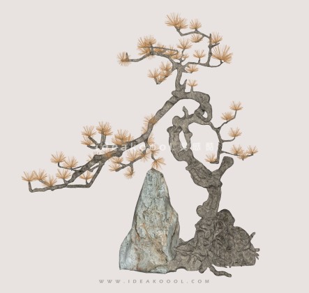 禅意观赏树 罗汉松造型松植物丨