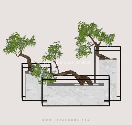 禅意观赏树 罗汉松造型松盆栽植物丨