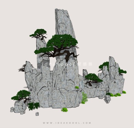 禅意观赏树 罗汉松造型松植物丨