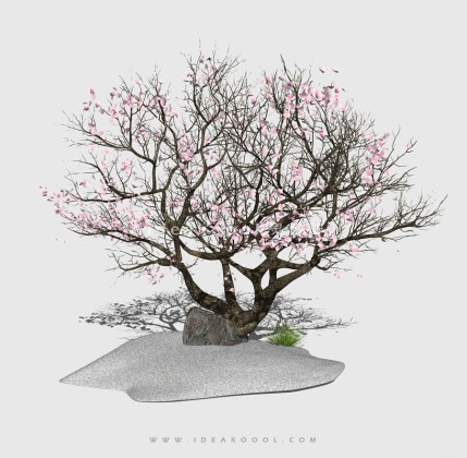 新中式景观树 禅意观赏树造型树丨