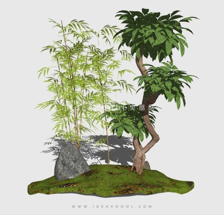 新中式景观树 禅意观赏树造型树丨