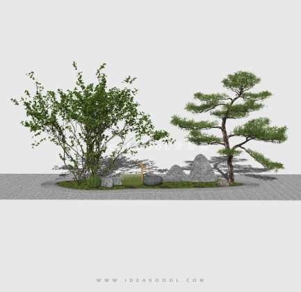 新中式景观树 禅意观赏树造型松树 景观置石丨