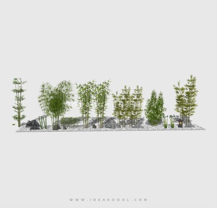 竹子 景观置石丨