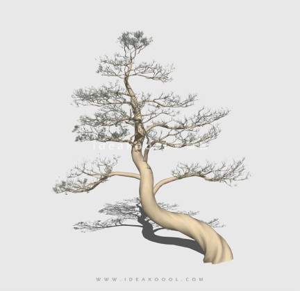 新中式景观树 禅意观赏树造型松树丨