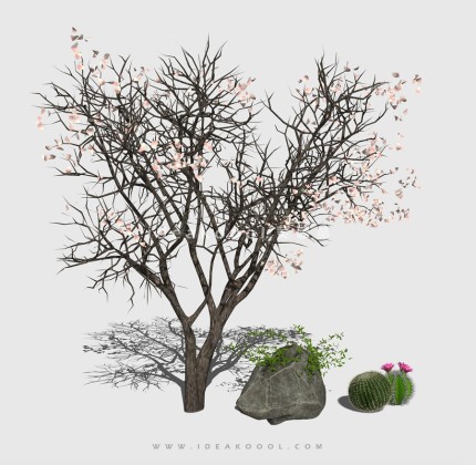 新中式景观树 禅意观赏树造型树丨