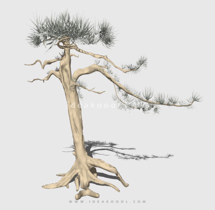 新中式景观树 禅意观赏树造型树丨