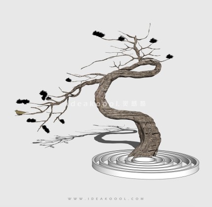 新中式景观树 禅意观赏树造型松树