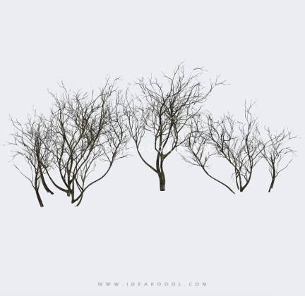 枯树枯枝落叶树丨