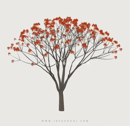 开花乔木色叶树植物丨