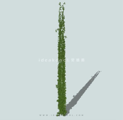 攀爬植物藤蔓柱子丨