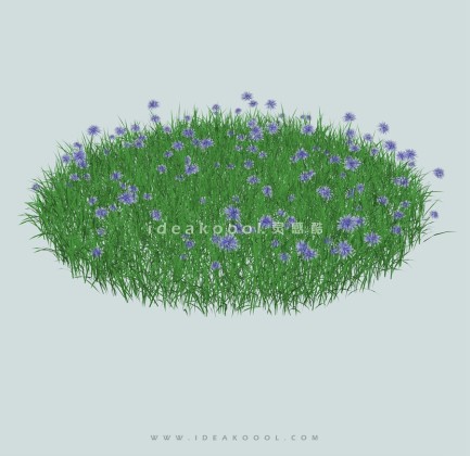 地被草坪草丛丨