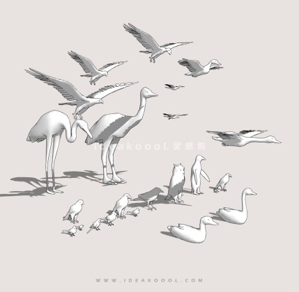 鹤老鹰鸭子鹅鸟类丨