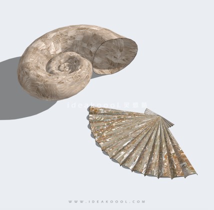 海螺海洋生物丨