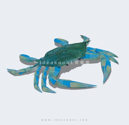 螃蟹海洋生物丨