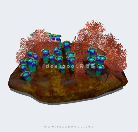海洋生物珊瑚小品丨