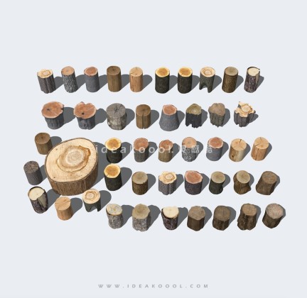 木头树桩 木柴丨