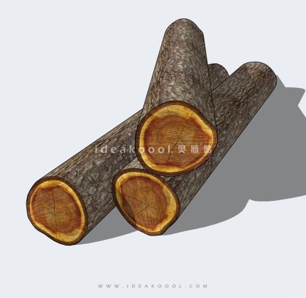 木头树桩 木柴丨