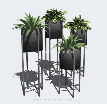 现代植物盆栽丨