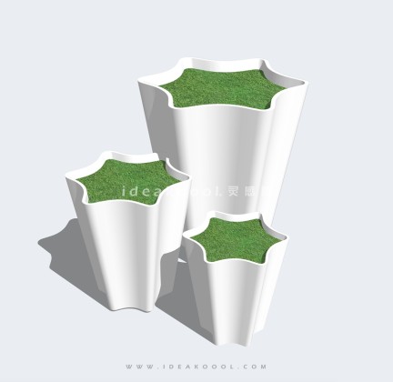 现代植物花钵丨