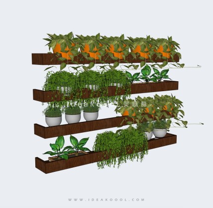 植物盆栽花架绿墙丨