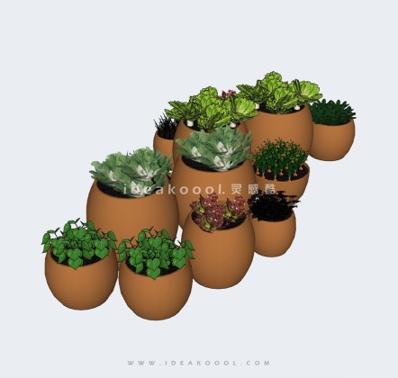 植物盆栽陶罐丨