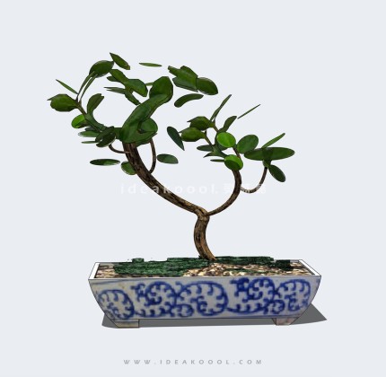 青花瓷盆景盆栽丨