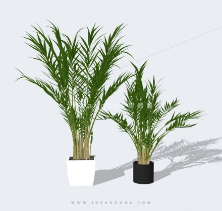 植物花钵盆栽丨