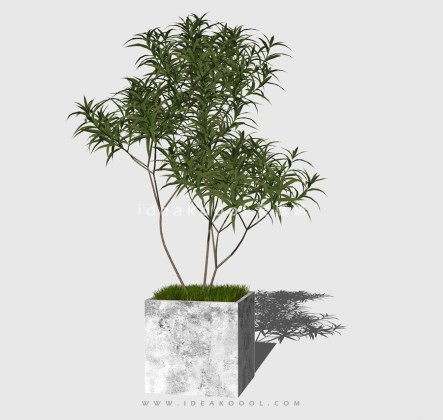 现代混凝土植物花箱种植池丨