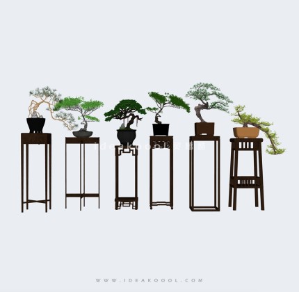 中式造型松植物盆栽盆景摆件丨